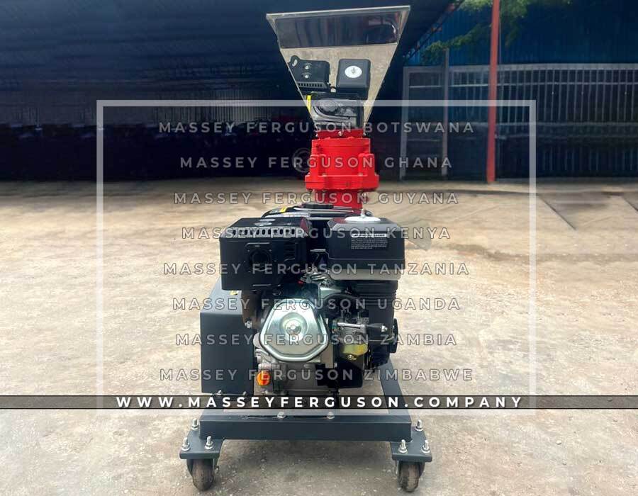 Machine à granulés pour l'alimentation animale (essence et électrique) - Massey Ferguson Ivory Coast Machine à granulés pour l'alimentation animale (essence et électrique)